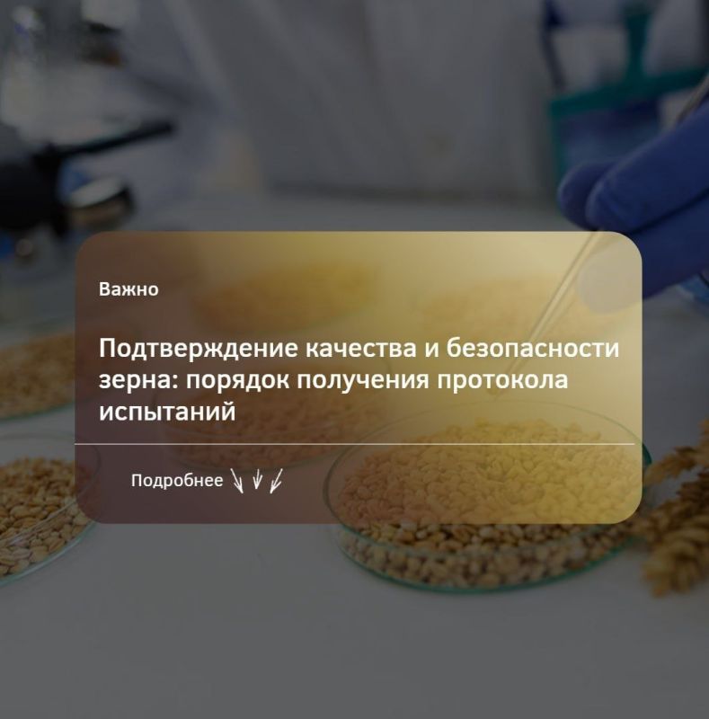 Подтверждение качества и безопасности зерна