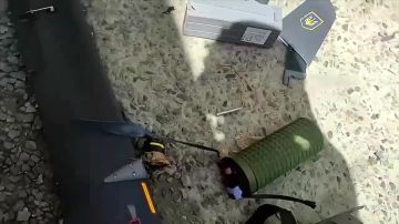 ������� 5 �������, ������ 18 ��� ����� �� ����� � ������� ����������� ������� � ��������
