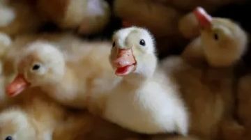 � �� ������� ������ ������������� ������� ��� ����� ������ ��� ����� � �����