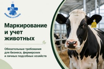 Бирка Учет! Узнайте из наших карточек, как правильно зарегистрировать животное в Запорожской области