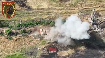 WarGonzo: ������ ����� ������� �������� ���������� �� ����������� �����������