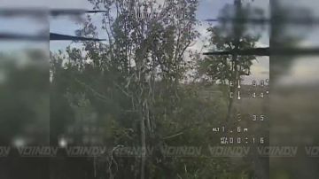 ��� ������ ���������� ���� ����� ����