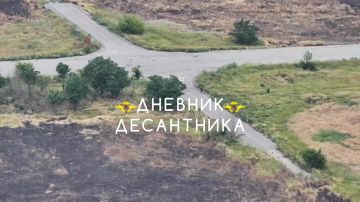 ������� � ������������ �����������