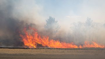 ВСУ сожги 45 гектаров полей в Запорожской области