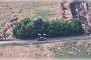 Мелкие группы ВСУ выбивают дронами в Запорожской области