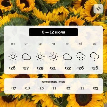 ������ � ����������� ������� �� 6 � 12 ����