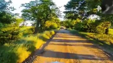 ���������� ����� ���������� ����������� ������������ ������� � ����������� �������