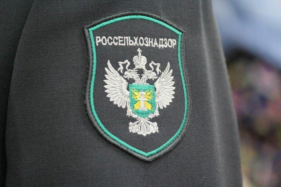 Россельхознадзор выявил небезопасную пищевую продукцию в 4 общепитах Запорожской области