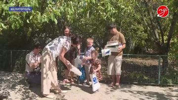 Мелитополе поздравили многодетные семьи и семьи ветеранов СВО с Днём семьи, любви и верности