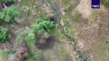 FPV-����� "�������" ���������� ������ �������� ��� � ����������� �������