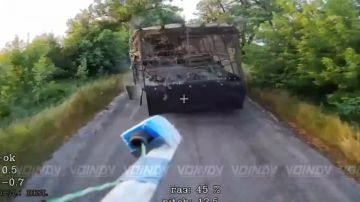 ������ ����� ����������. ��������� ���� 14 ��������� ����������� ������� �������� ����������� ����� ������� �� ����������� ����������� ���������� ��� � ������������� ��������� ���, ������ ��������� ����������� ����������