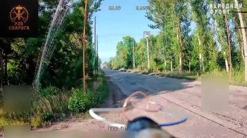 ������� ������ �� ���������� �����