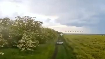 ���������� ������ �������� ����������� ��������� ��� � ����������� �������
