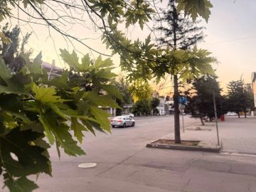 Доброе утро!