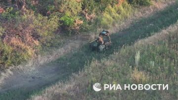 "Контрнаступ" роботов ВСУ отбили ярославские десантники на запорожском направлении