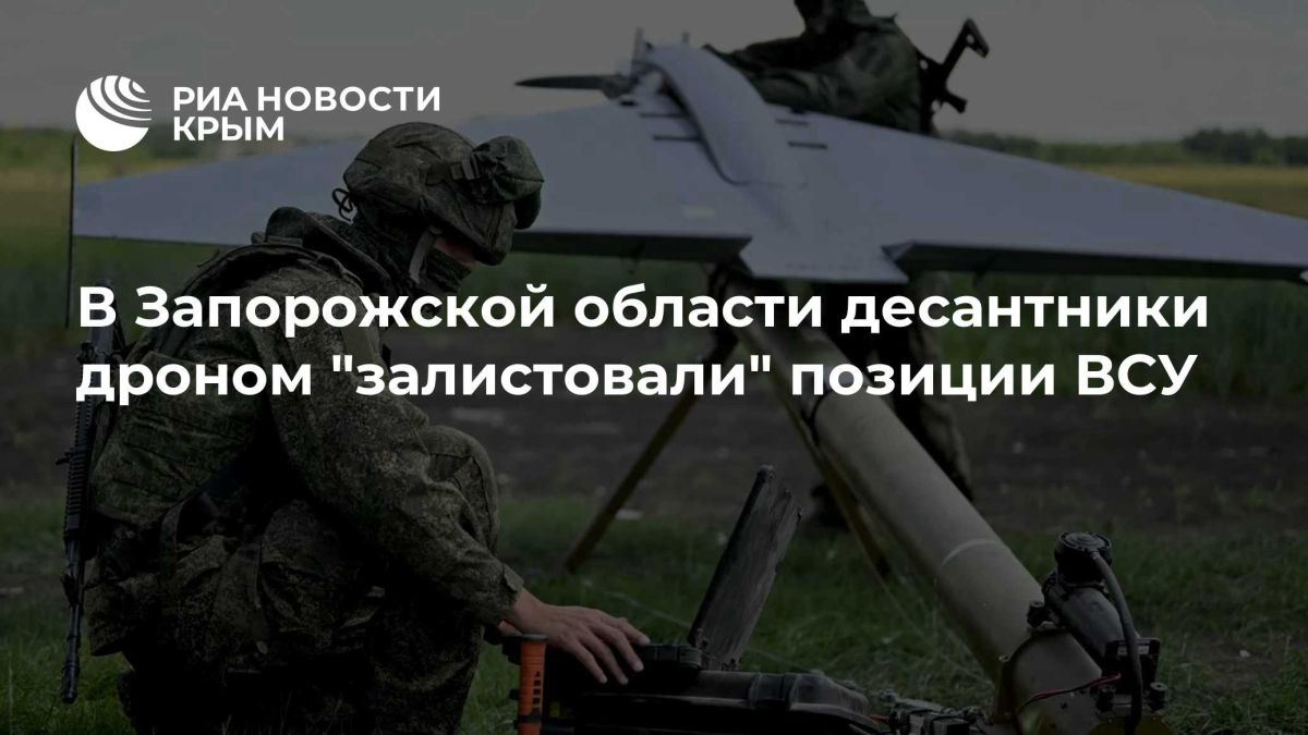 В Запорожской области десантники дроном "залистовали" позиции ВСУ