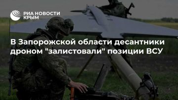 В Запорожской области десантники дроном "залистовали" позиции ВСУ