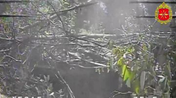���� ������������ ��� ������ ���� ����������, ������ � � �������������