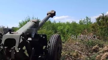 Андрей Руденко: Артиллерийские расчёты Д-30 группировки «Восток» уничтожили сеть опорников украинских боевиков в Запорожской области