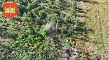 Расчёты БПЛА 58 гвардейской общевойсковой армии уничтожили пехоту и позиции ВСУ на Запорожском направлении