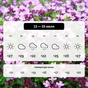 ������ � ����������� ������� �� 13 � 19 ����