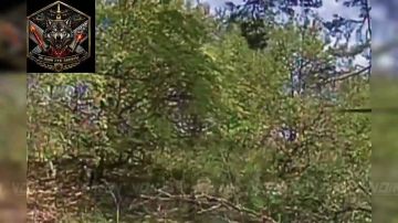 Славная охота. Операторы БпЛА 35 гвардейского полка РХБЗ 35 армии группировки войск «Восток» выявили и уничтожили живую силу противника на Запорожском направлении