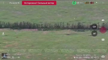 Дроноводы 1461 полка 36 ариии ликвидируют живую силу врага в норках в Запорожской области