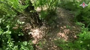 Штурмовики зачищают вражеские опорники в Запорожской области