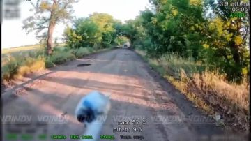 ��������� 14 ��������� ������� �������� ����������� ����� ������� ������ ��������� � ���������� ������������� ��������� ����������, ������� ��������� ��� �� ����������� �����������