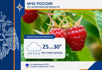 � 14 �� 15 ���� �� ���������� ������� ���������: