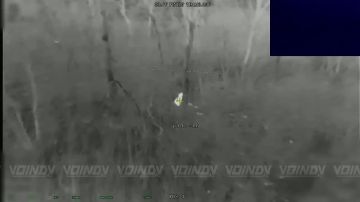 Операторы БпЛА 5 гвардейской общевойсковой армии группировки войск "Восток" ликвидировали живую силу противника на Запорожском направлении