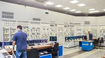 Политолог: убийство инженера ЗАЭС подтверждает террористическую сущность Киева