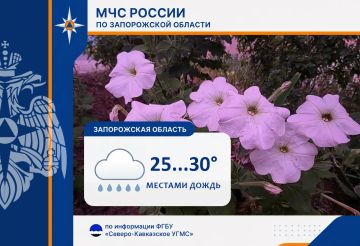 � 16 �� 17 ���� �� ���������� ������� ���������: