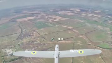������� ���� 1198 ��������������� ����� 35 ����������� ������������� ����� ����������� ����� "������" ����� ������ � ���� ���������� � ���� ��� ����������� ��������