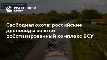 ��������� �����: ���������� ��������� ������ ���������������� �������� ���
