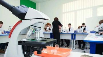 ЭКСКЛЮЗИВ Проекты студентов МелГУ победили на федеральном конкурсе «Студенческий стартап»