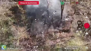 Операторы БпЛА 1461 мотострелкового полка 36 гвардейской общевойсковой армии группировки войск «Восток» ликвидировали очередных "кротов" ВСУ на Запорожском направлении