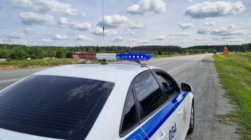 Госавтоинспекция: летом риск наездов на пешеходов за городом возрастает