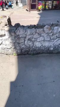 "Скоро Запорожье в бомжатник превратится! С этим Зеленским, с этой властью