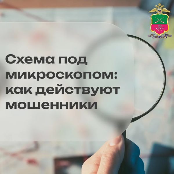 Разбираем схему