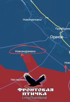 Обстановка на Запорожском направлении
