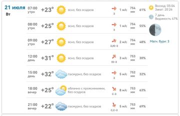 Доброе утро!. В Михайловке сегодня ясно, тепло и сухо