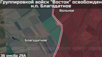 Александр Коц: Российская армия освободила Благодатное и Артельное