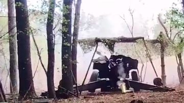 ������������ ��������� ���������� �������� � ����������� �������