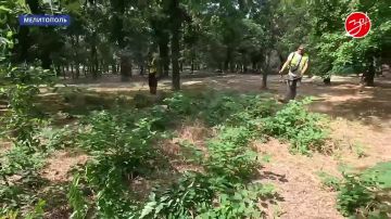 ���������� ���������� �������������
