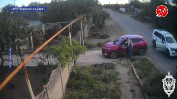 В Запорожской области вынесен приговор по делу о покушении на мошенничество в крупном размере
