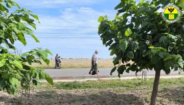 В Кирилловском сельском поселении продолжают наводить порядок на территориях