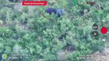 ����������� ������� ��� � ����������� ������� ������� ������ 26-�� ����� ����