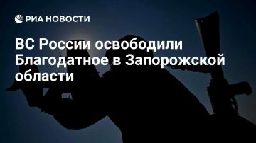 Российские войска освободили Артельное в Харьковской области и Благодатное в Запорожской области, сообщило Минобороны