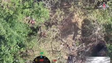 ���������� ������: ���������� ���� ������. ������������ ����������� ������� �������� � ������ ������� ������, �������� � ������� ���������� � ����������� �������
